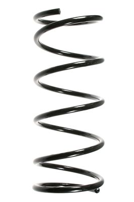 Arc spiral SPIDAN 55336