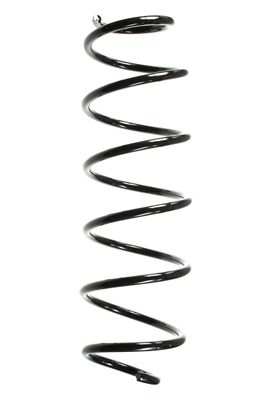 Arc spiral SPIDAN 55238