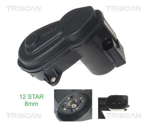 Element nastawczy, zacisk hamulca postojowego TRISCAN 8170 208041