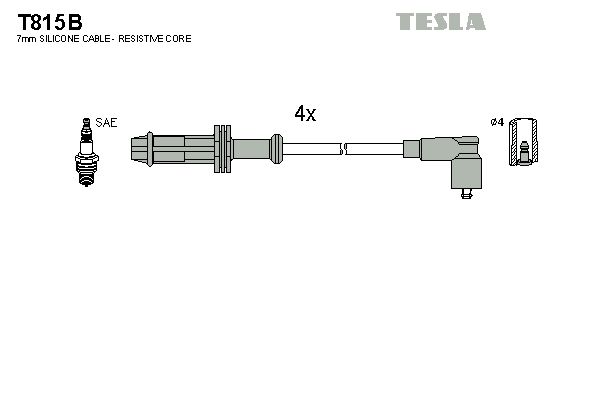 Set cablaj aprindere TESLA T815B