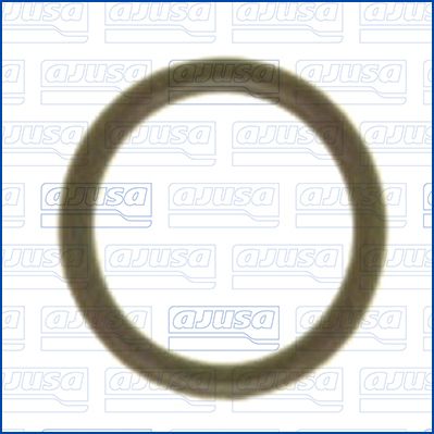 Pierścień uszczelniający, przewód sztywny płynu chłodzącego AJUSA 16076800