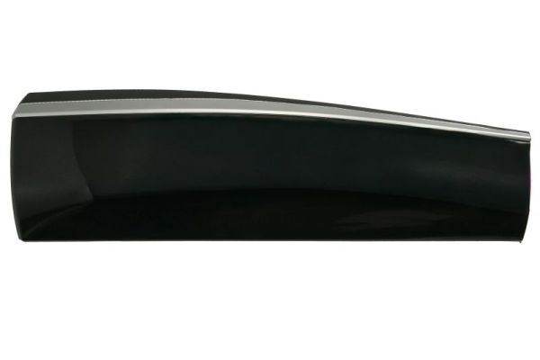 Elemente decorative/protectie, portiera BLIC 5703-04-7807577P