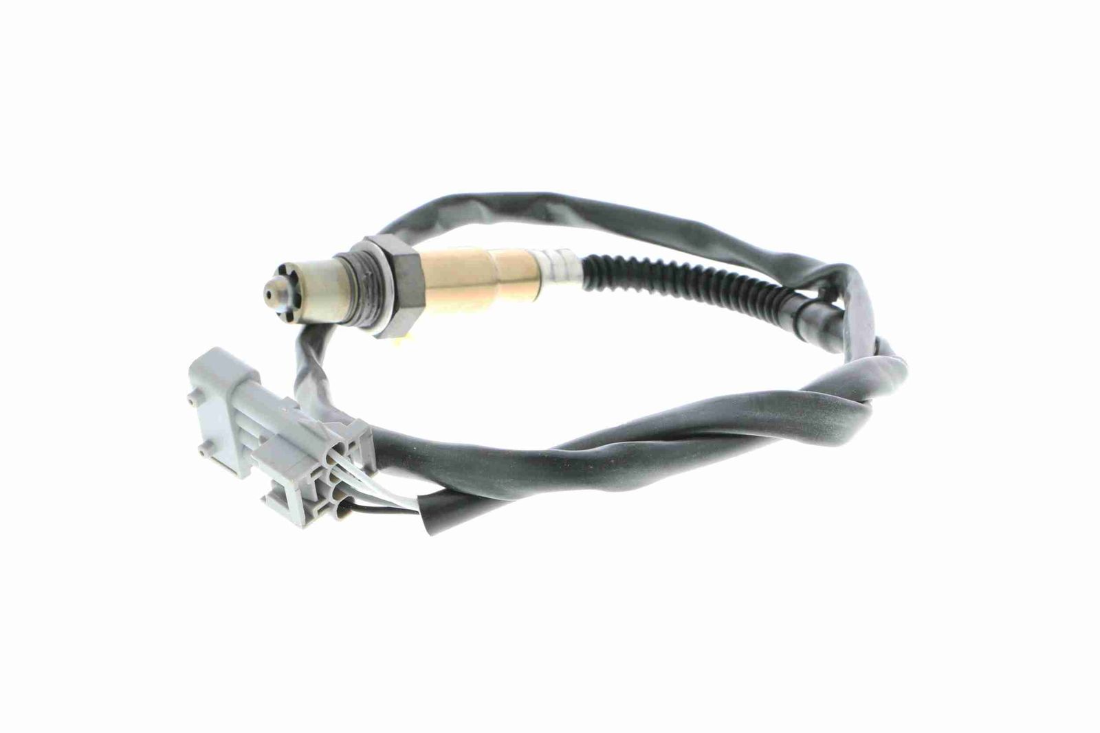 Sonde lambda