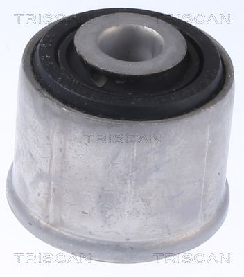 Łożyskowanie, wahacz TRISCAN 8500 25870