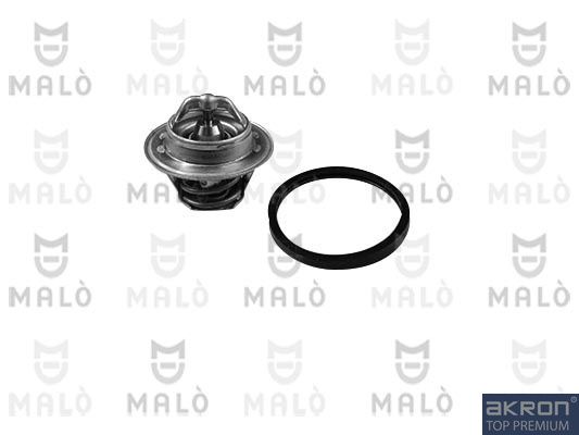 V33-99-0001 THERMOSTAT D EAU