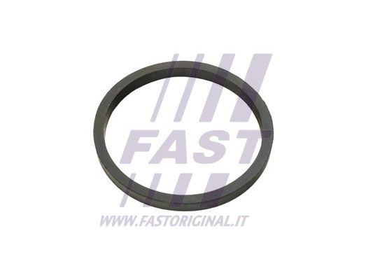 Pierścień uszczelniający, chłodnica oleju FAST FT49924