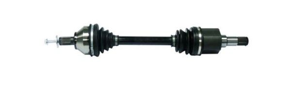 Planetara MTR 12191944