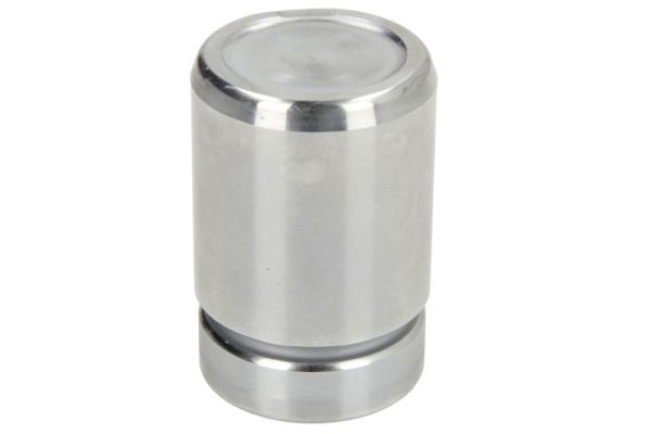 Tłoczek, zacisk hamulca LAUBER CQ71334908