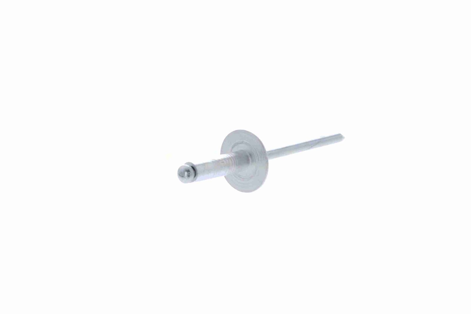 Rivet