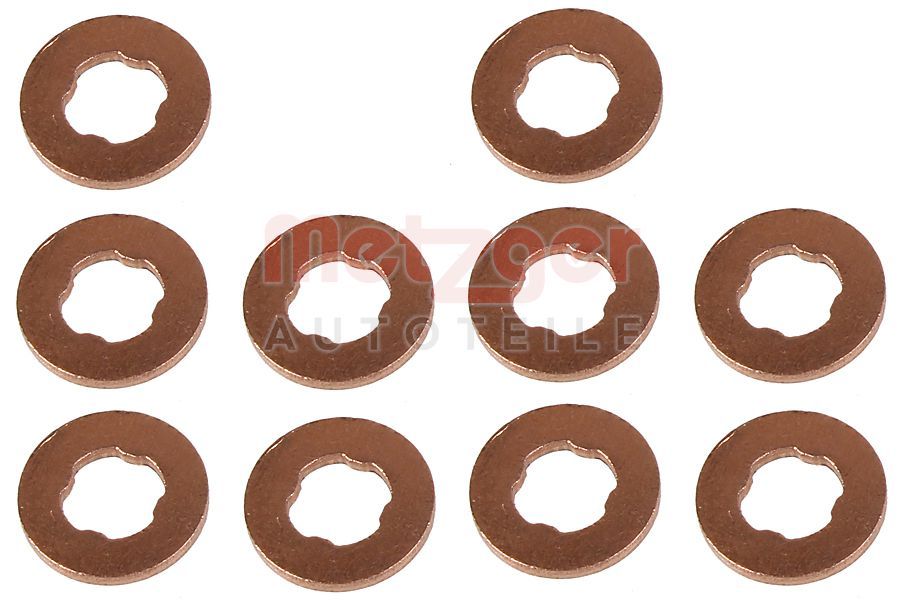 Kaitseseib,sissepritsesüsteem