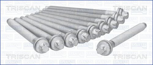 Zestaw śrub głowicy cylindrów TRISCAN 98-5525