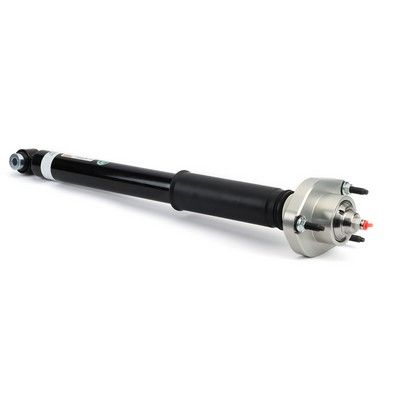 amortizor Arnott SK-3386