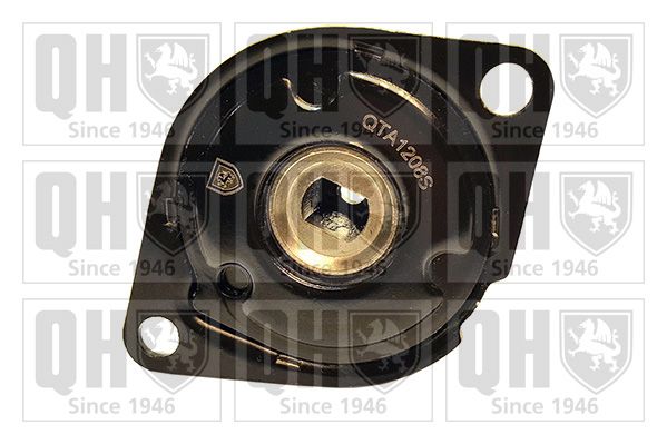 Napinacz, pasek klinowy wielorowkowy QUINTON HAZELL QTA1208S