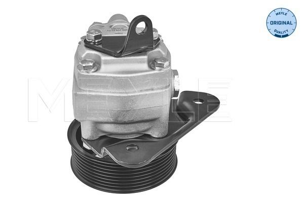 Levně Hydraulické čerpadlo, řízení MEYLE 53-14 631 0003