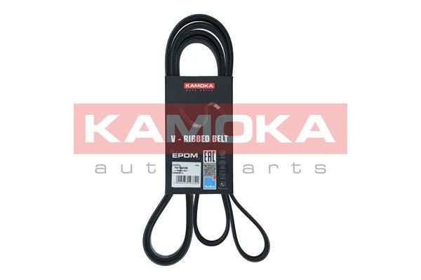 Pasek klinowy wielorowkowy KAMOKA 7016238