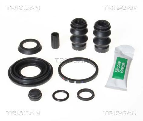 Zestaw naprawczy, zacisk hamulca TRISCAN 8170 203847