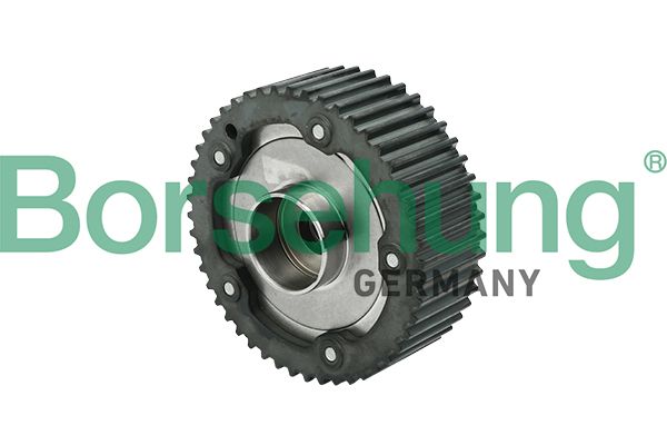 Regulator ax cu came BORSEHUNG B17948