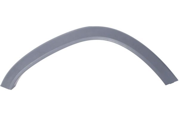 Ehis-/kaitseliist,Poritiib