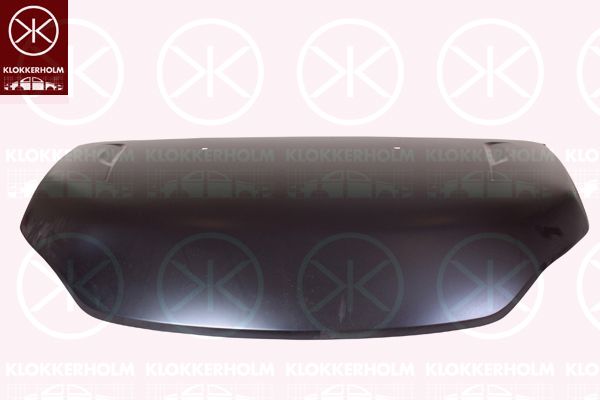 Pokrywa komory silnika KLOKKERHOLM 3082281