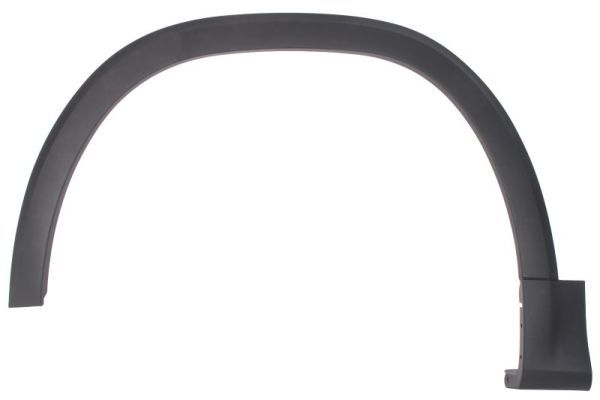 Ehis-/kaitseliist,Poritiib