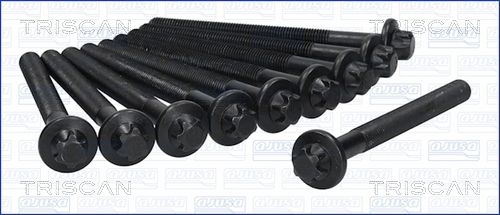 Zestaw śrub głowicy cylindrów TRISCAN 98-6017