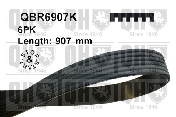 Pasek klinowy wielorowkowy QUINTON HAZELL QBR6907K