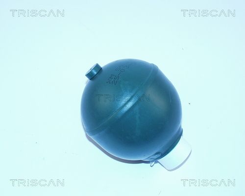 Akumulator ciśnienia, resorowanie / tłumienie TRISCAN 8760 38117