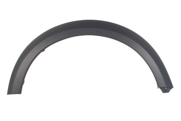 Ehis-/kaitseliist,Poritiib