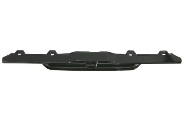Banda de protectie, grila radiator BLIC 6502-07-2590995P