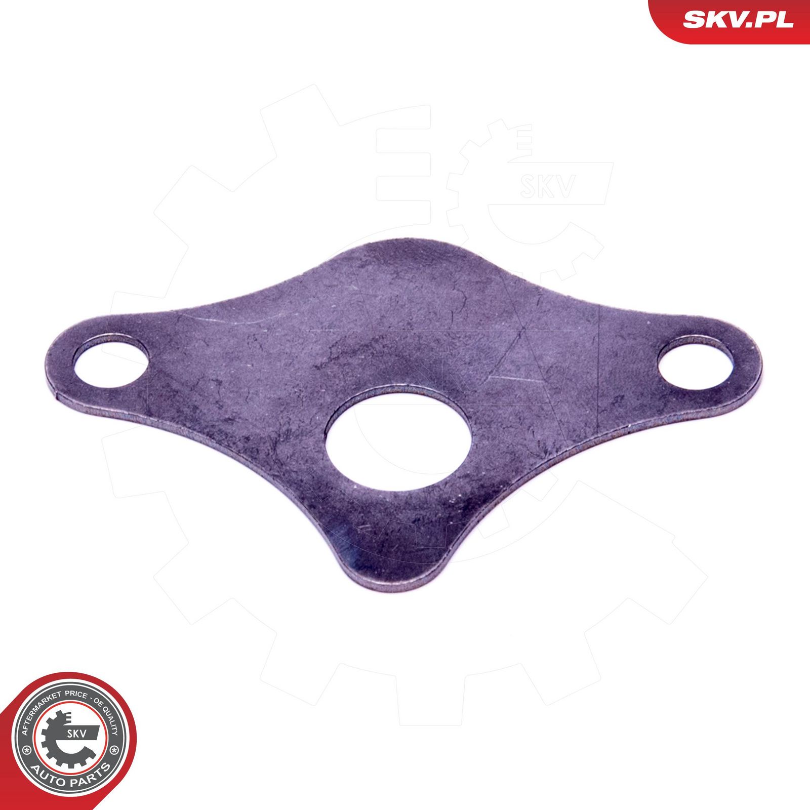 Set de reparație, supapă AGR ESEN SKV 14SKV521