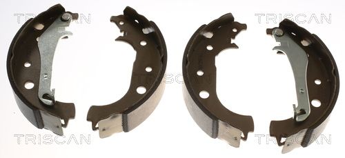 Set saboti frana TRISCAN 8100 16016