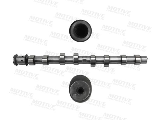 Ax cu came MOTIVE T4547