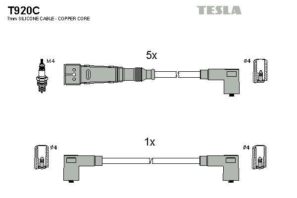 Set cablaj aprindere TESLA T920C