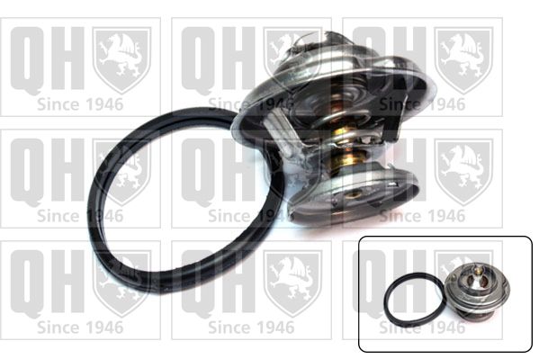 Termostat, środek chłodzący QUINTON HAZELL QTH423K