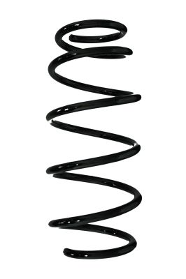 Arc spiral SPIDAN 85786