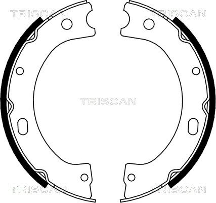 Set saboti frana TRISCAN 8100 14011