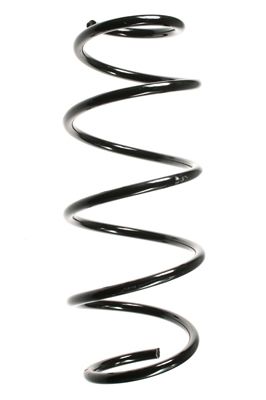 Arc spiral SPIDAN 49620