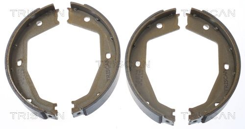 Zestaw szczęk hamulcowych, hamulec postojowy TRISCAN 8100 10034