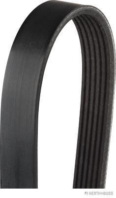 Pasek klinowy wielorowkowy HERTH+BUSS JAKOPARTS J1062196