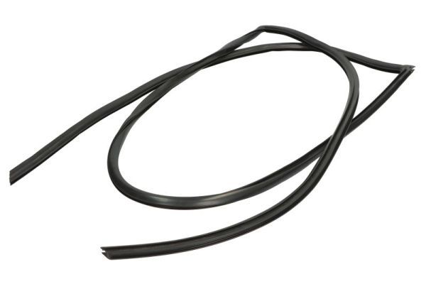 Garnitura, parbriz BLIC 5703-04-6037254Q