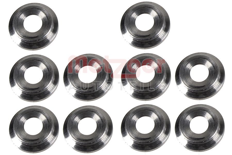 Kaitseseib,sissepritsesüsteem