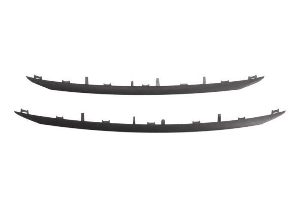 Banda de protectie, grila radiator BLIC 6502-07-5516993P