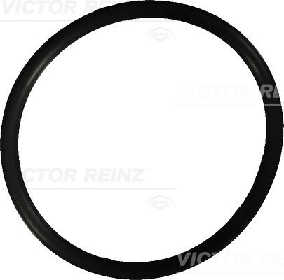 Těsnící kroužek VICTOR REINZ 40-76022-10