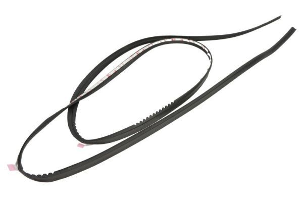 Elemente decorative/protectie, parbriz BLIC 5703-04-6037529Q