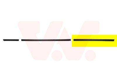 Elemente decorative/protectie, portiera VAN WEZEL 0646426