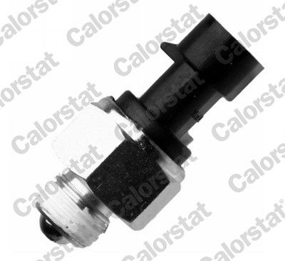 Przełącznik, światło cofania CALORSTAT BY VERNET RS5590