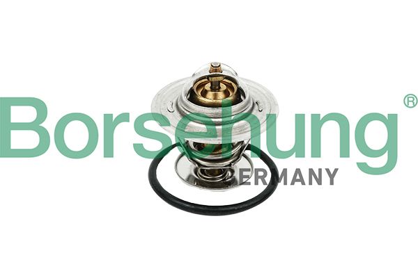 Termostat, środek chłodzący BORSEHUNG B18256