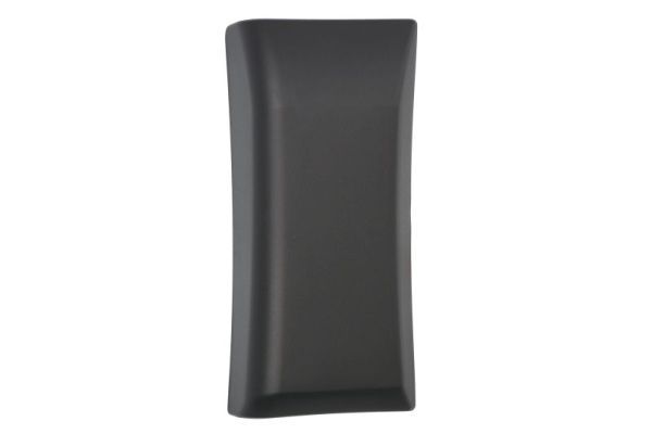 Elemente decorative/protectie, panou lateral BLIC 5703-04-2617582P