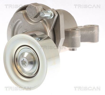 Intinzator curea, curea distributie TRISCAN 8641 423004
