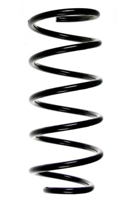 Arc spiral SPIDAN 48595